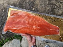 филе ЛОСОСЯ (сёмга) охл. н/к Трим Д 2,1- 2.5 кг 