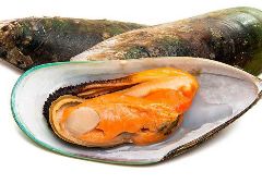 МИДИИ КИВИ НОВАЯ ЗЕЛАНДИЯ в половинке ракушки 30/45 в/м 1 кг