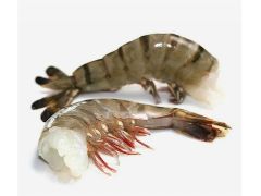 ЧЁРНАЯ ТИГРОВАЯ Креветка б/г 8/12 (1 кг)