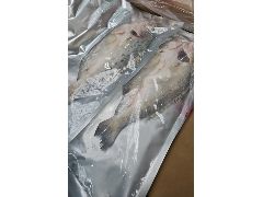 НОВИНКА!!!ОКУНЬ МОРСКОЙ ЯПОНСКИЙ СУЗУКИ ПСГ 350-450 гр БЕЗ ЖАБР И ЧЕШУИ ПРИХОД 21 МАЯ!